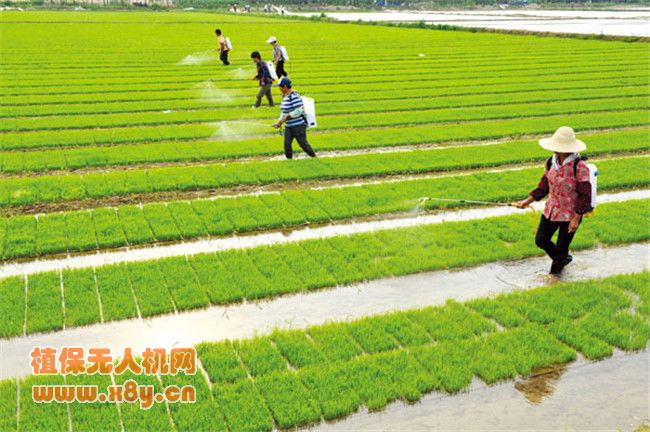 植保无人机