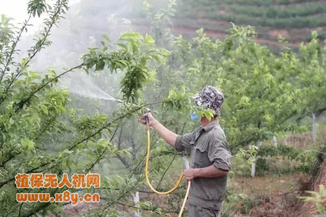 果园植保场景