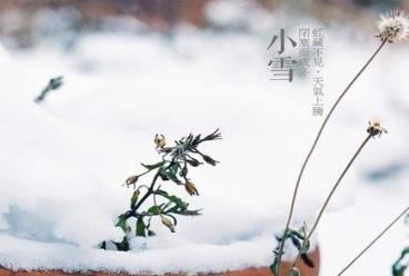 小雪霏霏迎丰年：今日小雪,广东有点冷,注意添衣